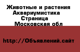 Животные и растения Аквариумистика - Страница 2 . Московская обл.